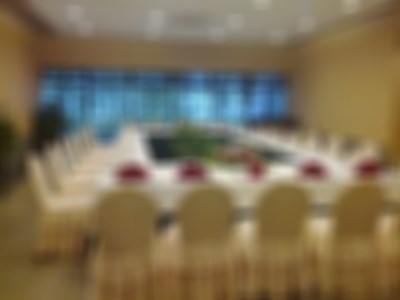 Hotel meeting 8
